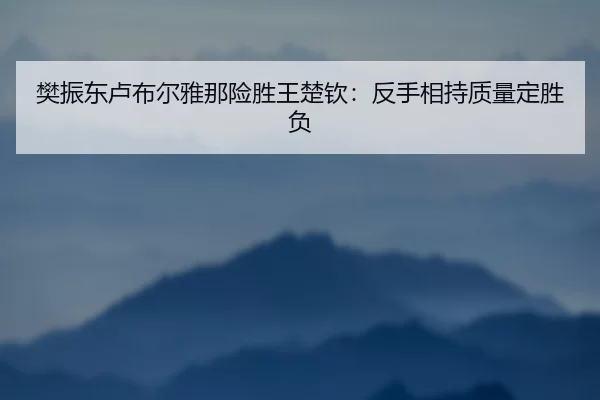 樊振东卢布尔雅那险胜王楚钦：反手相持质量定胜负